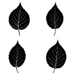 Four black leaves with detailed veins arranged in a square pattern on a white background illustration