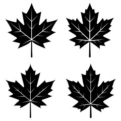 Fototapeta premium Four black maple leaf illustrations with detailed veins arranged on a white background in a symmetrical pattern
