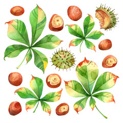 Set of watercolor illustrations of horse chestnut leaves, nuts, spiky seed pods, and shells, all painted in bright green and brown tones and arranged on a transparent background