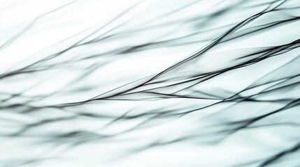 The artwork features intricate, flowing lines that form a captivating abstract pattern in soft, muted shades, evoking a sense of calm