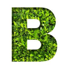B shape made of leaves isolated on transparent background, go green concept, PNG	
