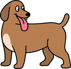 dog isolated on white background