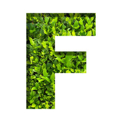 F shape made of leaves isolated on transparent background, go green concept, PNG	
