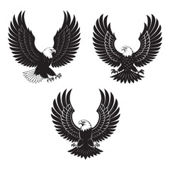 Obraz premium American Eagle Head with USA Flag