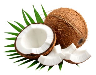 Whole and sliced coconut on a palm leaf, against a black background, perfect for a food or health-related project