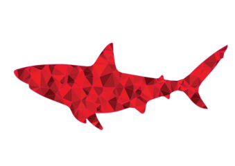 Hiu vektor ilustration red color