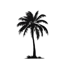 palm silhouette