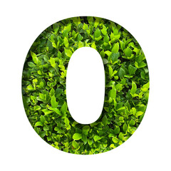 O shape made of leaves isolated on transparent background, go green concept, PNG	
