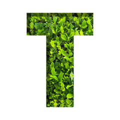 T shape made of leaves isolated on transparent background, go green concept, PNG	
