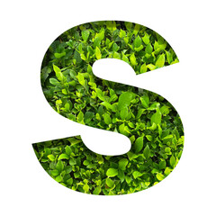 S shape made of leaves isolated on transparent background, go green concept, PNG	
