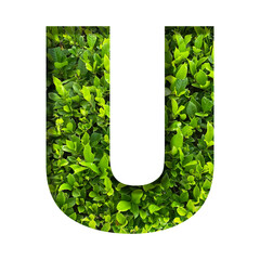 U shape made of leaves isolated on transparent background, go green concept, PNG	
