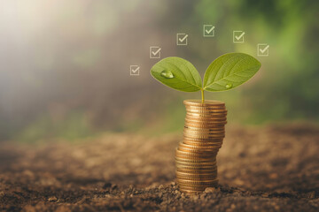 Small plant with green leaves growing from stack of coins symbolizes financial growth and environmental sustainability, with checkmarks indicating success or approval