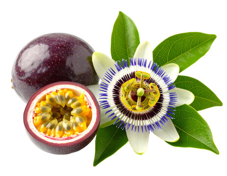 Passion fruit and flower, isolated on black background, vibrant purple passion fruit, cut in half showing yellow seeds, white flower with purple details, green leaves, studio shot, ripe fruit, - Powered by Adobe