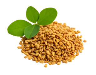 Pile of fenugreek seeds with fresh green leaves on transparent background, studio shot, close-up view, bright natural light, macro view, healthy food ingredient, isolated on black background, food