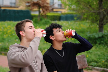 Two young men drinking beverage on the bench, friends outside, casual lifestyle