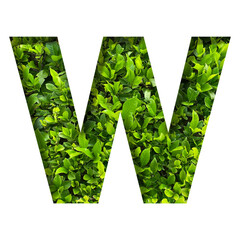 W shape made of leaves isolated on transparent background, go green concept, PNG	
