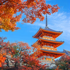 Scenic view of  Kiyomizu-dera temple with beautiful foliage in autumn in Kyoto, Japan