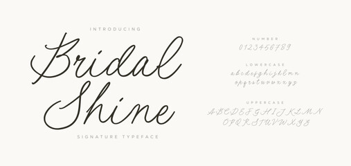 Signature. Wavy elegant calligraphy font for decoration of the wedding invitation 
