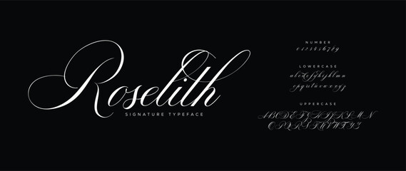 Elegant Script Signature Font for Wedding Invitations, Business Branding, and Fashion Projects 
