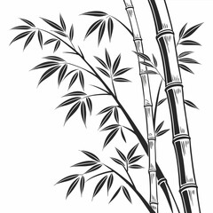 Obraz premium bamboo vector illustration