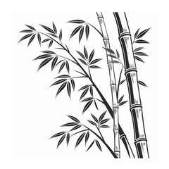 Fototapeta premium bamboo vector illustration