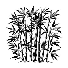 bamboo vector illustration