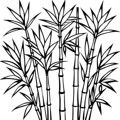 bamboo vector illustration