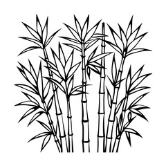 Fototapeta premium bamboo vector illustration