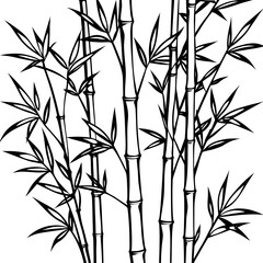 bamboo background vector