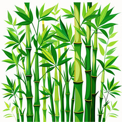 bamboo vector illustration