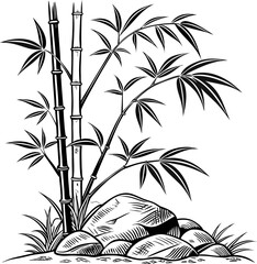 bamboo vector illustration