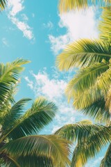 Tall emerald palms stretch upwards, blending with white clouds and blue sky in a tranquil, sun-drenched landscape.