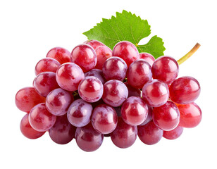 Fototapeta premium Single Red Grape Cluster with Stem and Leaf, Front View, Transparent PNG