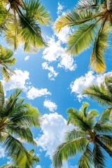 Vertical composition of tall palms towering in front of blue skies and scattered clouds, embodying the spirit of vacation.