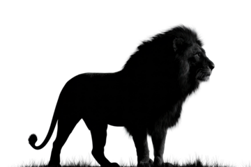 Majestic lion silhouette wild safari digital minimalist style. Isolated on transparent background, png. isolated on transparent background, png