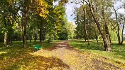 In a city park near a dirt path strewn with fallen leaves, a wooden bench stands on a metal base. Nearby, trees with yellowed leaves stand on grassy lawns. Autumn sunny weather and shadows