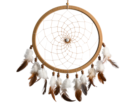 Traditional Feathered Dreamcatcher with Wooden Hoop Isolated on Transparent Background PNG