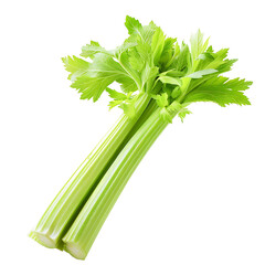 Fresh Celery Stalks with Green Leaves Isolated on White Background