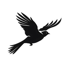 Fototapeta premium birds png silhouette