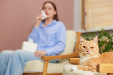 Woman suffering from allergy with her cat at home, selective focus