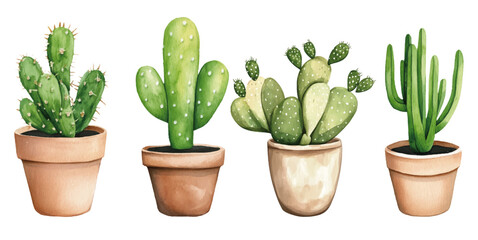 watercolour clipart cactus plant in a bohemian vase