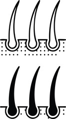 Hair Icons. Black and White Vector Illustration. Hair Bulbs, Human Body Part. Concept Anatomy

