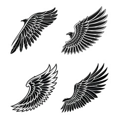 Obraz premium Wing Vector Bundle – 4 Stylized Wings Set