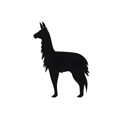 Fototapeta premium llama silhouette