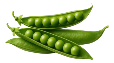 Honeysuckle blossom garnish on a simple white plate, ready for pastry decoration