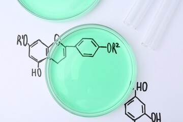 Petri dishes of samples and test tubes on paper with chemical formulas, flat lay