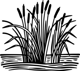 Tall reeds and cattails growing by water's edge aquatic wetland plants in nature habitat illustration