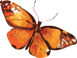 Butterfly vector art