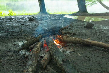Campfire in the forest. Armenia
