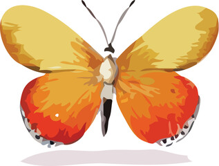 butterfly vector art